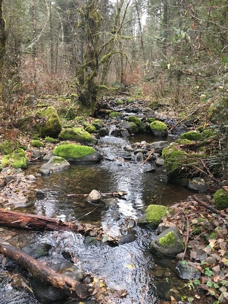 West Tiger Creek