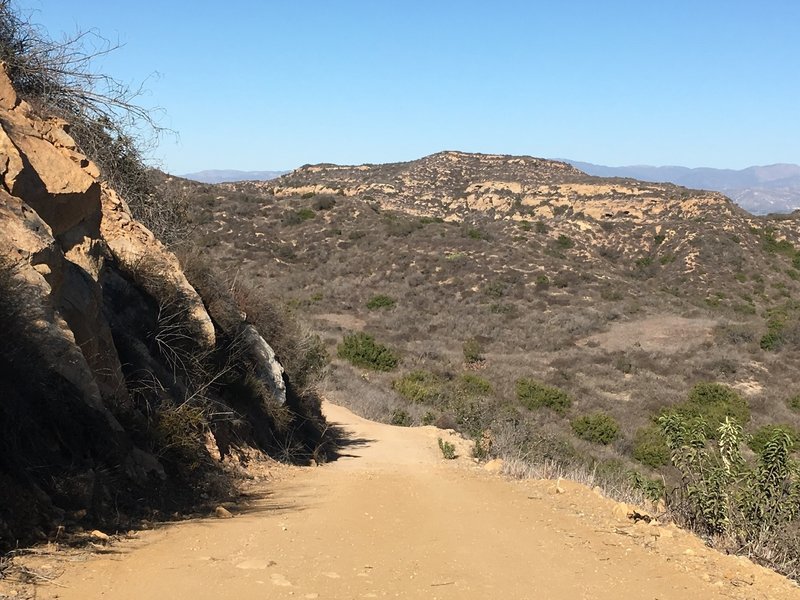 View towards the east of the surrounding hillside