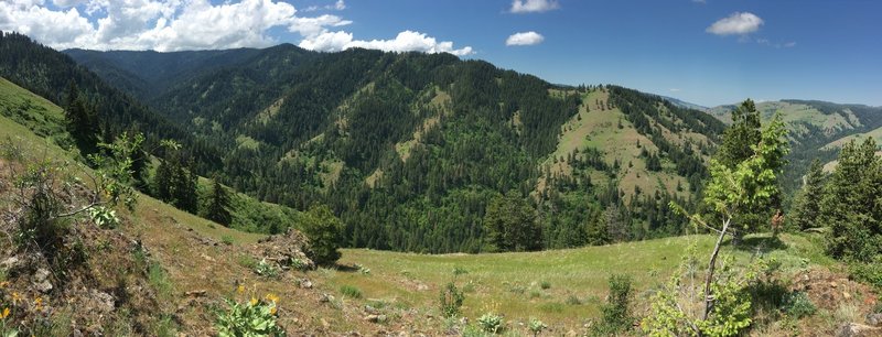 Tiger Ridge pano looking west into West Tiger Creek canyon