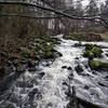 Some of the rapids of Nyfors.