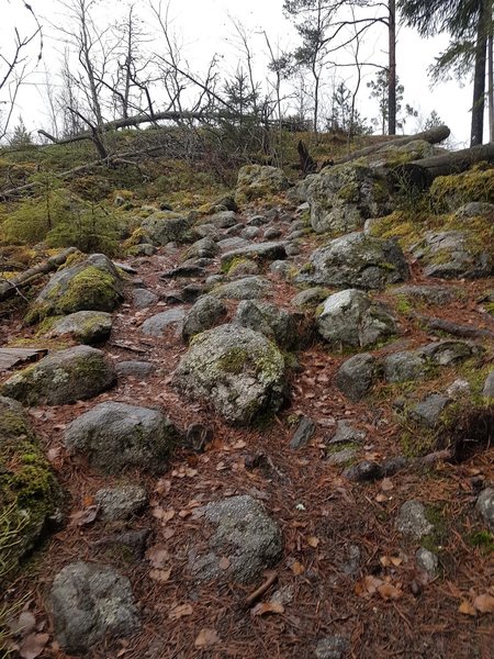 Wet, slippery stones on the trail, be aware!