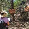 At the junction with the Steep Canyon Ranger and Halls of Manzanita Trails