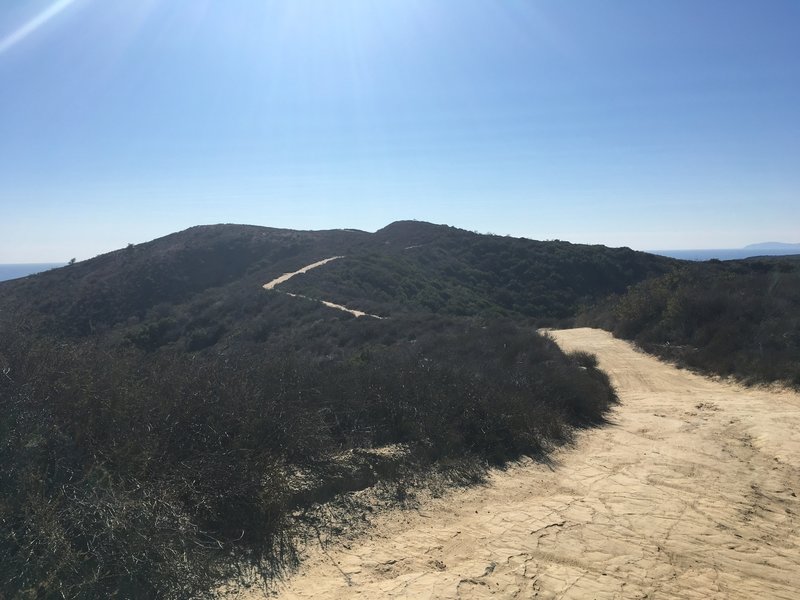 Meandering along the ridge.