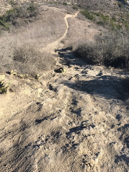 This trail is fun!