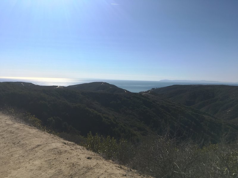 Views of the Pacific and Catalina Island