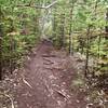 Okolehau Trail