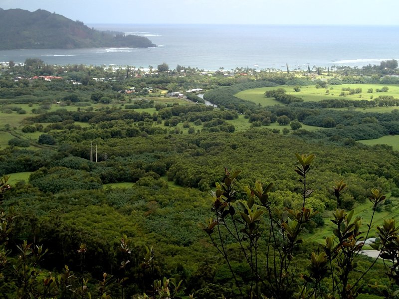 Down to Hanalei Bay