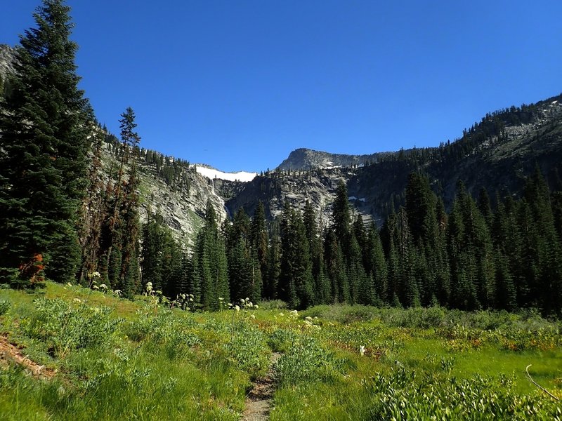 Thompson Peak from Grizzly Meadow