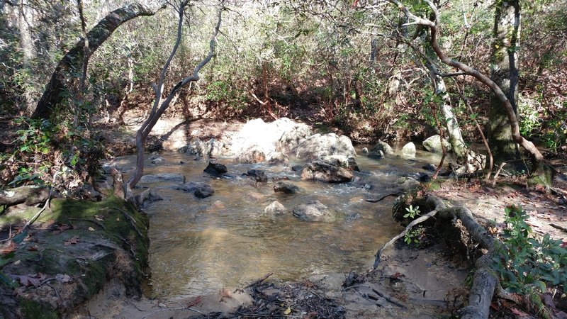 One of many creek/stream crossings on the Uwharrie National Recreation Trail.