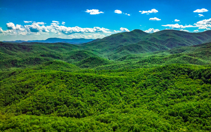 View from Looking Glass Rock