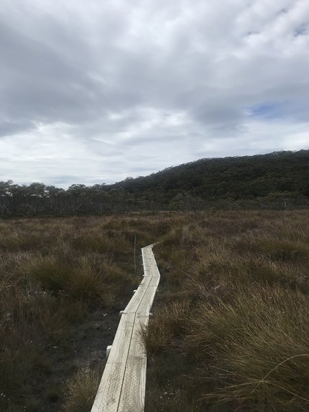 Examples of the boarded trail through the open grassland.