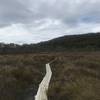 Examples of the boarded trail through the open grassland.