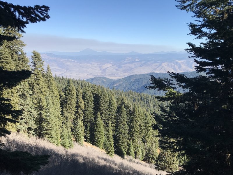 a view while hiking down Wagner Glade Trail