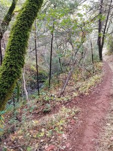 Tinker's Cutoff is short, sweet and steep.