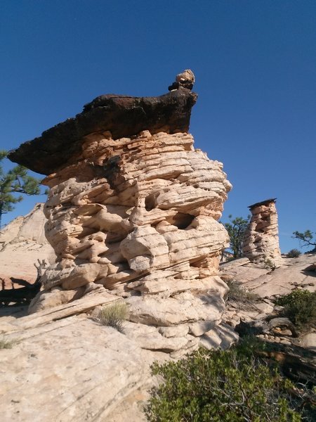 Hoodoos atop Panorama Point. The black caprock is hematite, formed deep inside the Navajo Sandstone when water dissolved the red iron oxide and concentrated it in a crack.