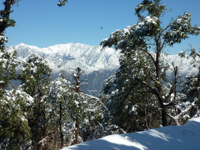 View of Mt. Hawkins from intersection of Sawpit Road and Rincon-Red Box Road.