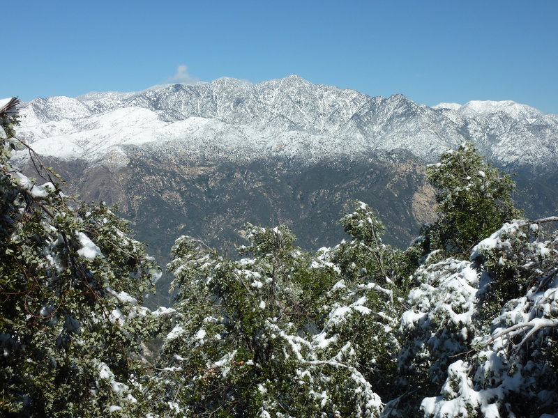 View of Twin Peaks on Rincon-Rec Box Road near Sawpit Road