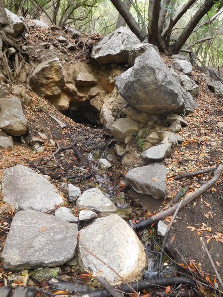 Water emerging from under the trail at Twin Springs.