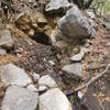 Water emerging from under the trail at Twin Springs.