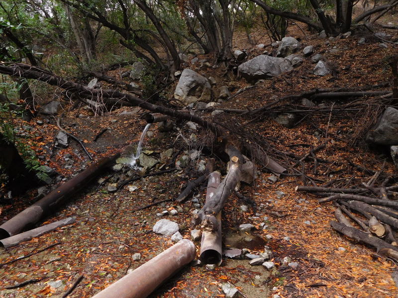 Pipes previosly used to divert water from Twin Springs.