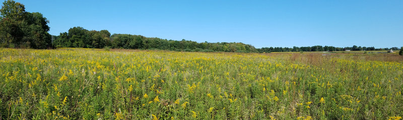 Panorama of Frohring Meadows, from the west side looking east