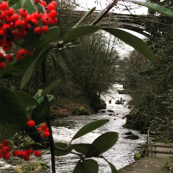 Deschutes River below the iconic Olympia Brewery