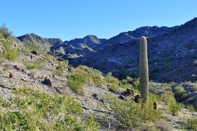 From the junction of 202 and 8A, look up the valley to the north.  At the ridge top on the left you meet trail 8B again.