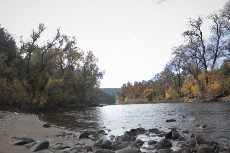 Mokelumne River - East River Access