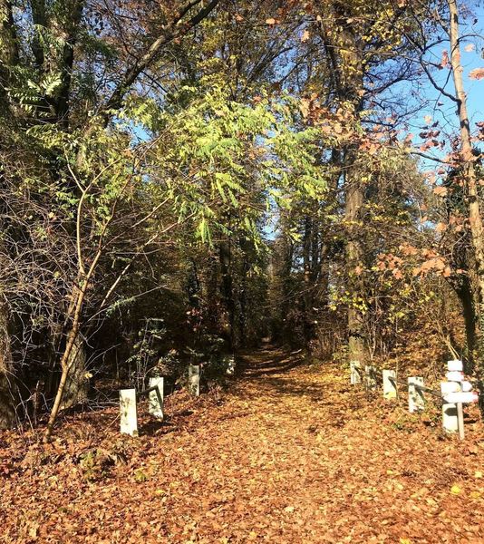 Parco del Ticino - Monte San Giacomo - Trail start