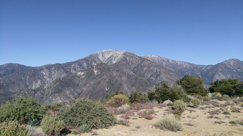 View of Mt. Baldy from Sunset Peak.