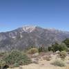 View of Mt. Baldy from Sunset Peak.