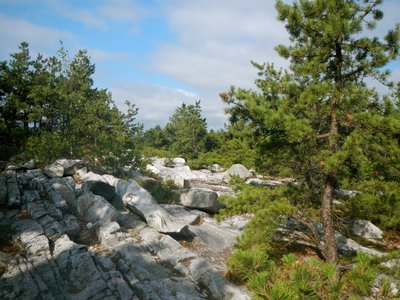 North Adams to Bennington