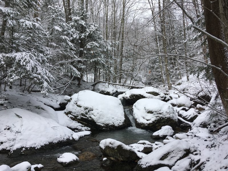 Cascade along Bassett Brook