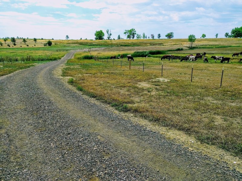 Wide gravel trail meandering through pastures.