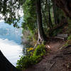 A tranquil spot to take a break along the Lakeshore Trail.