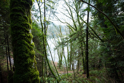 Lake Samish in the distance.