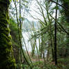 Lake Samish in the distance.