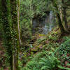 An easy to see waterfall at the end of the Hillside Trail.