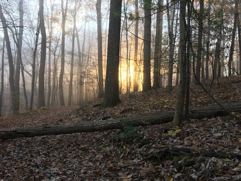 Sunrise while ascending the fire trail!