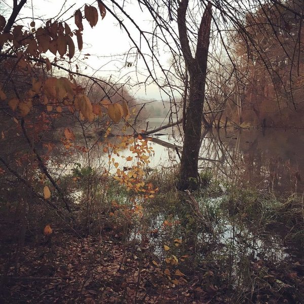 Trail runs right to the water's edge here. Great fall colors!