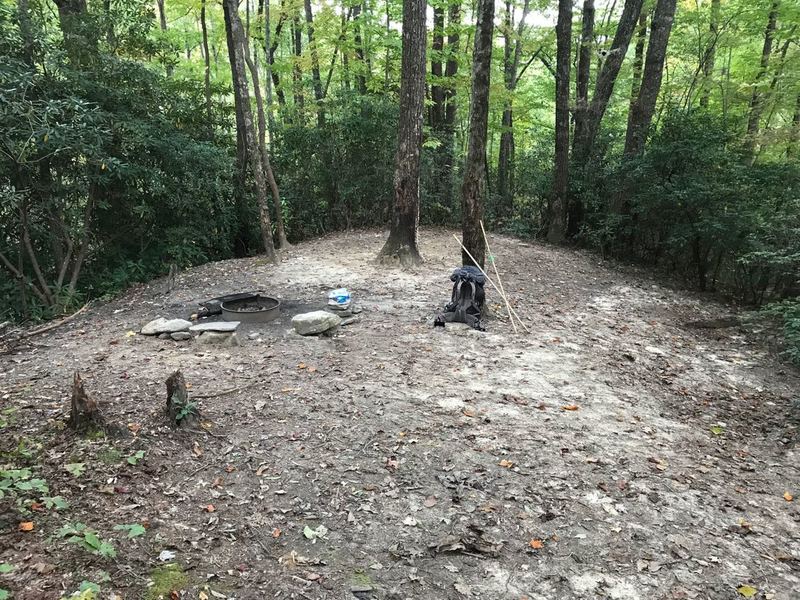 This is camp #15, #14 looks similar, both with small stream crossings before camp sites along Jones Gap Trail which are only campsites with fire permitted, all are pet friendly campsites in area . Used on solo hike of multi-day loop in Jones and Caesars.