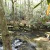 Alternate access to Moonshine and Confusion Falls by crossing Matthews Creek using Asbury Trail across private camp land that allows seasonal access to Asbury trail currently. Also, easy spot for water before the campsites with water more of challenge.