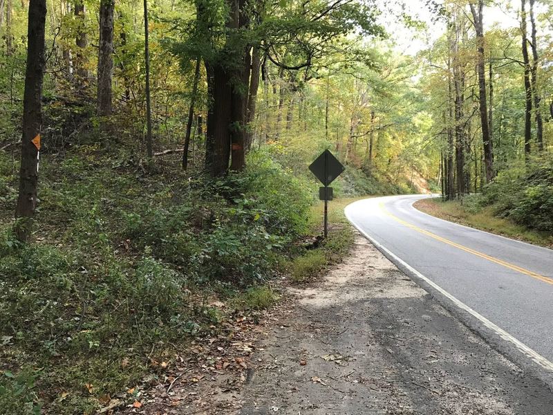 Pinnacle Pass Trail's road crossing. You come out on the left where the White Blaze, you continue trail on the right side with the thickest tree, brown grass area. Not highly noticeable first coming out of woods or direction until other markings found.