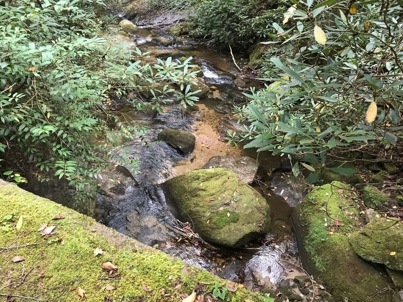 Pinnacle Pass Trail crosses Oil Camp Creek using an old bridge. Was very quiet, lunch and refill water area as trail continues up hill from here quickly just on other side or right is a trail out to Oil Camp Creek Rd I believe.