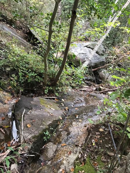 I believe that this might be some of an upper part of an earlier fall seen from across Oil Camp Creek. It is a slippery crossing (especially with a pack) and not the only one along this trail but this one had a hand cable to hold onto so no problems.