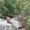 Parts of Pinnacle Pass trail has steep sections of rock hopping... good shoes, walking sticks recommend on this trail and not easy on legs.