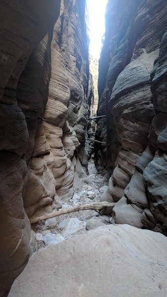 One of many deep, narrow sections of the Bull Valley Gorge.