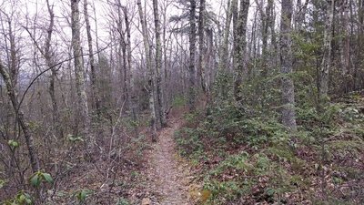 Heading southeast along Slack's