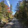 Climbing on Canaan Loop road