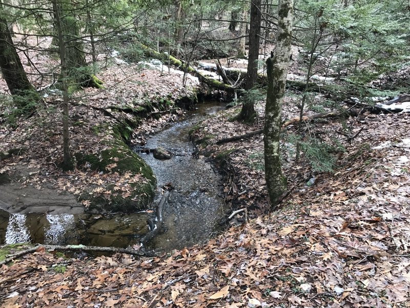 One of the lovely sections of stream along the trail, cool in the summer and freezing in the winter